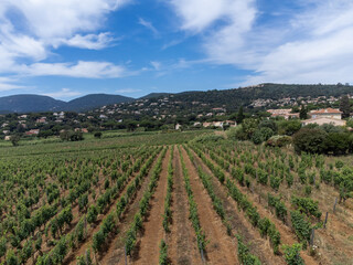 Aerial view on hills, houses and green vineyards Cotes de Provence, production of rose wine near Saint-Tropez and Pampelonne beach, Var, France in summer