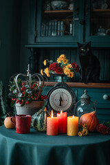 Halloween decor with Black cat and pumpkins