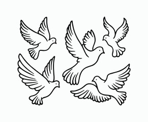 Fototapeta premium Dove silhouette EPS vector isolated illustration template on a white background