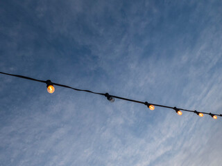 garlnd of filament lamp in hanging  garden, evening park, dark sky background 