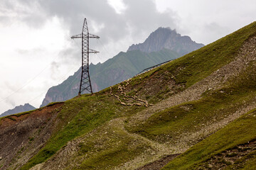 Nature and technology converge: transmission tower stands sentinel over grazing flock on alpine...