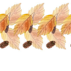 Alder leaf in orange shades with its cones hand painted watercolor seamless border isolated on white. High quality art in for woodland designs, cards, posters, textile, packages, textile, stationary
