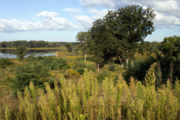 Turner Lake fen and native prairie grasses and trees in autumn at Moraine Hills State Park in...