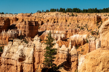 Hoodoos are tall, slender rock spires that stand like sentinels in Bryce Canyon Amphitheater