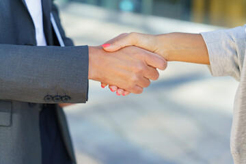Business Professionals Engaging in a Firm Handshake Outside an Office Building on a Sunny Day