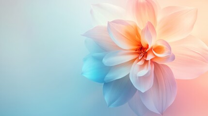 Obraz premium A delicate flower design overlays a smooth gradient pastel background, creating a soft and calming aesthetic that’s ideal for various artistic and commercial uses