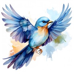 Obraz premium blue and yellow robin