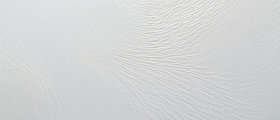 Abstract White Texture Background