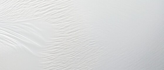 Abstract White Texture