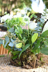 table set plates glasses bowls arrangements decoration party table