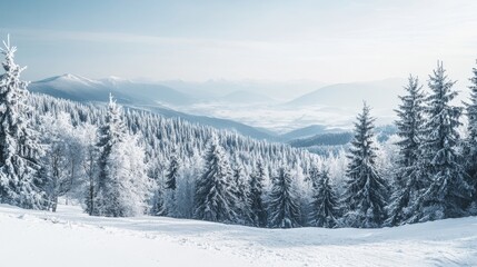 Obraz premium This serene winter landscape features a blanket of snow covering evergreen trees, with majestic mountains rising in the distance against a bright, clear sky