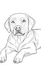 Fototapeta premium Realistic Dog Lying in Relaxed Pose