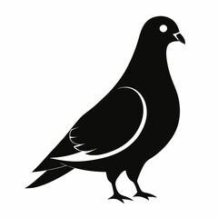 pigeon silhouette vector