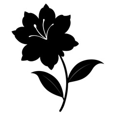black and white flower