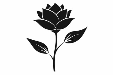 set of black and white flowers