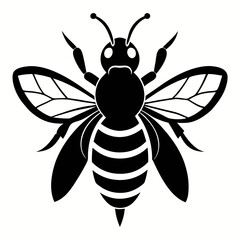 bee on white