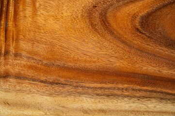 Wood background texture, abstract, nature background