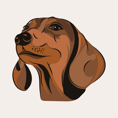 Dachshund wiener dog head illustration in brown shades hand drawn style