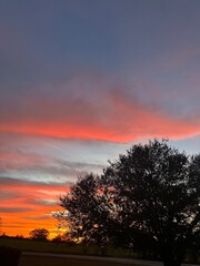 sunset in the forest