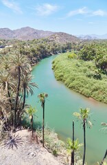 A View of Rio Mulege in Baja California's Desert Oasis of Mulege