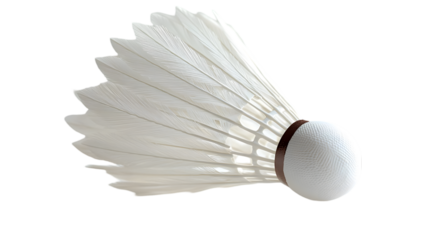 Shuttlecock in Mid Flight Captured in Detail