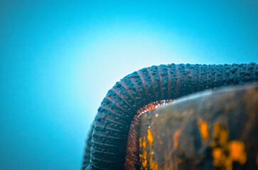 Millipede in its Natural Habitat, Salalah, Dhofar Mountains