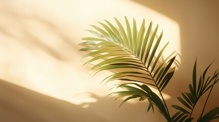 Obraz premium Green palm leaf casting shadows on a wall.