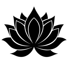 lotus flower on white background