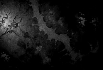 Black wall grunge texture