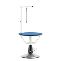  Empty Professional Pet Grooming Table with a Blue Non-Slip Surface. 3d Rendering