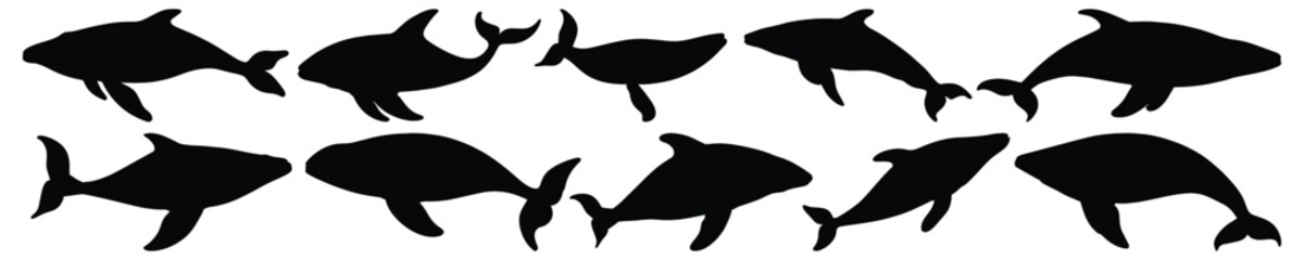 Whale silhouette set vector design big pack of ocean illustration and icon