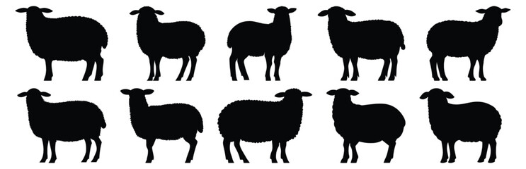 Sheep silhouettes set, animal pack of vector silhouette design, isolated background.