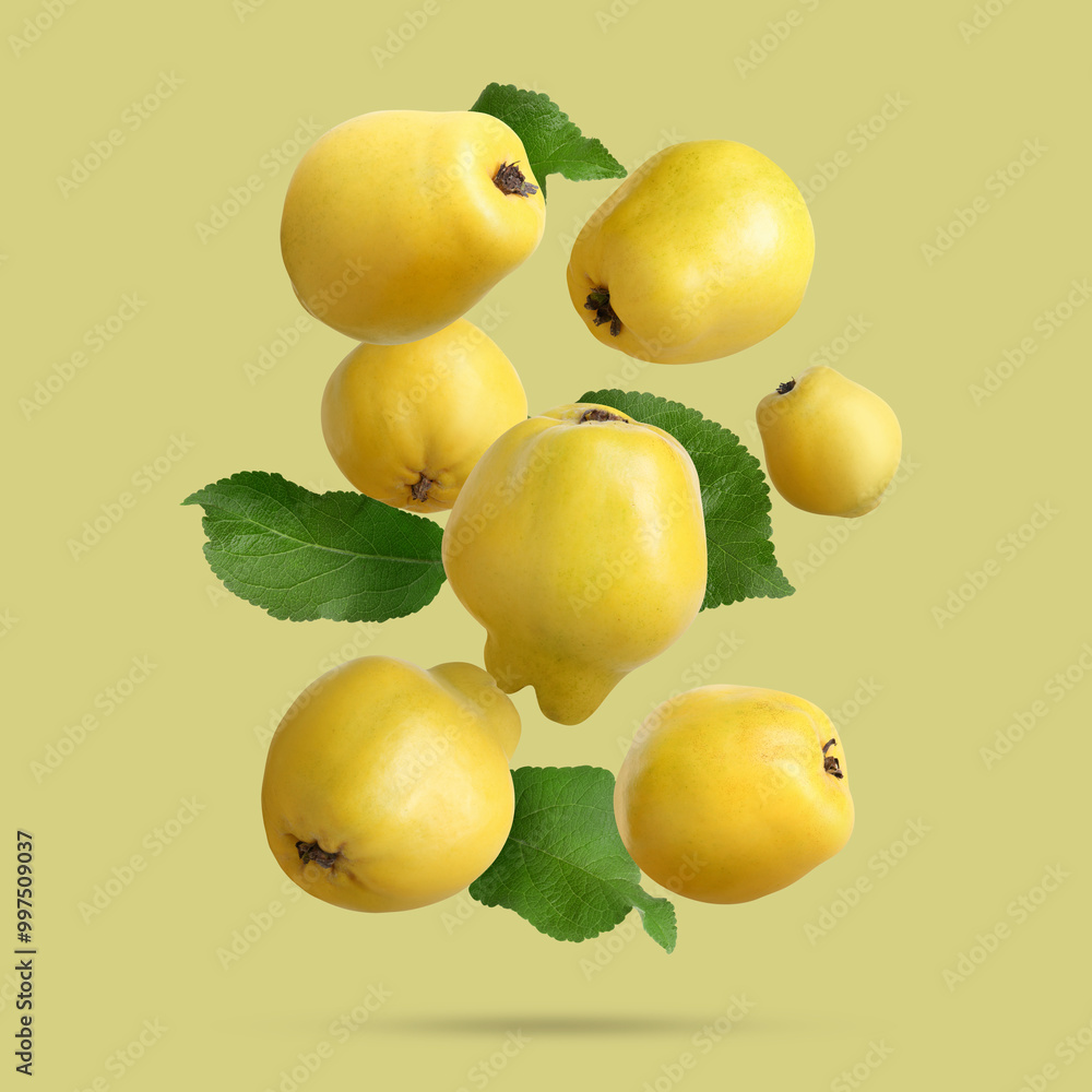 Poster Fresh quinces and green leaves falling on color background