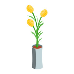 Vector Illustration of Home Plants Isometric