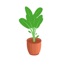 Vector Illustration of Home Plants Isometric