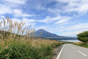 秋の富士山と山中湖と湖に続く道路、道路の脇に生えるすすき