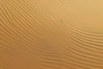 ripples in the sand