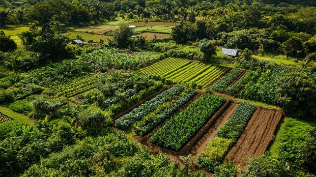 A diverse polyculture farm with mixed crops and a rich biodiversity