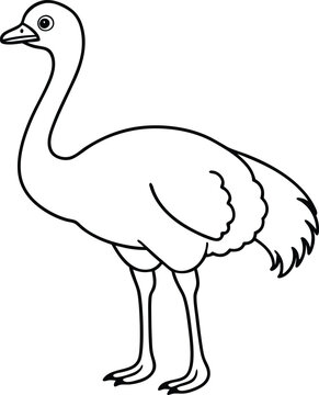recommend clip art: ostrich logo design icon template in white background