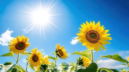 Bright sunflowers stand tall and vibrant, enjoying the warm sunlight and clear blue sky on a splendid day outdoors. Generative AI