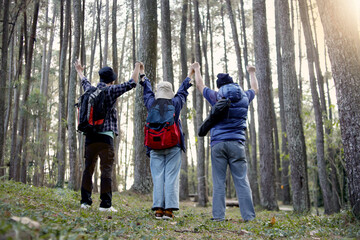 Rear View of Family Member Holding Hands in The Pine Forest