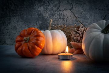 Pumpkin Autumn Vibes