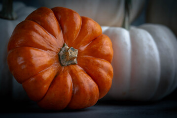 Pumpkin Autumn Vibes