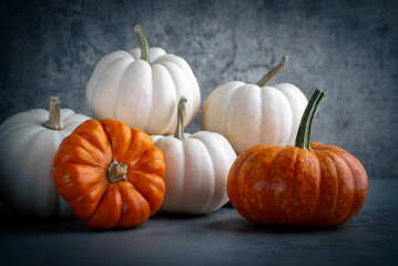 Pumpkin Autumn Vibes