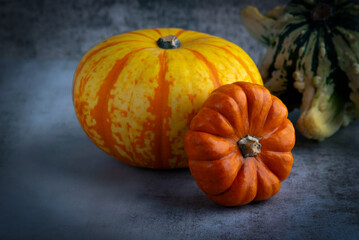 Pumpkin Autumn Vibes