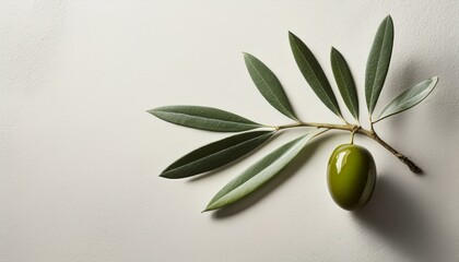 A minimalistic composition featuring an olive branch with one olive and a few scattered leav