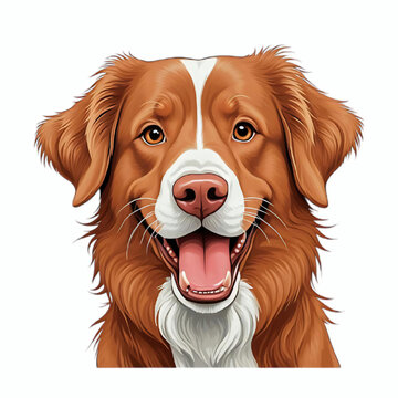 recommend clip art: Happy nova scotia duck tolling retriever dog face cartoon illustration