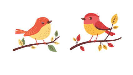 A Pair of Cute Orange Robin Bird Animal Perched on Tree Branch