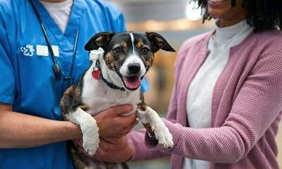 A volunteer at an animal shelter hands over a new dog or cat to its new owner. The moment shows the love between people and their pets. - Powered by Adobe