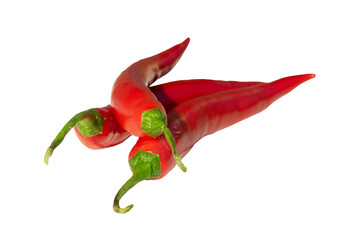 Czerwona ostra papryczka, papryka chilli. Bez tła